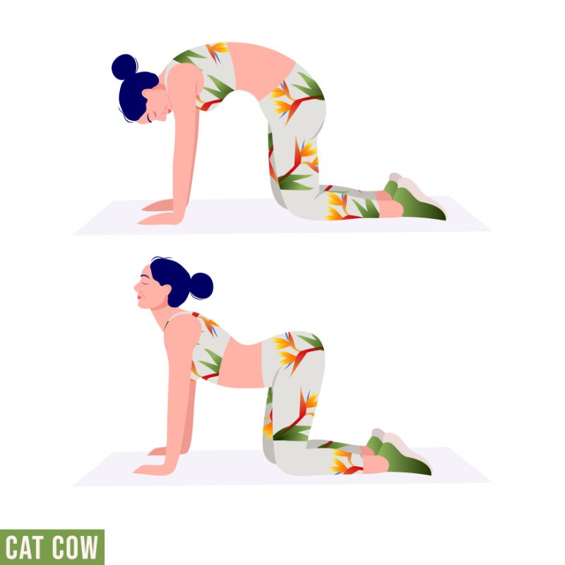 Cat-Cow Pose