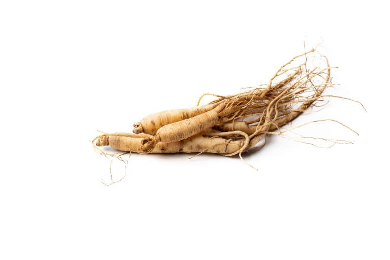 15. Ginseng (Enerji Kökü)