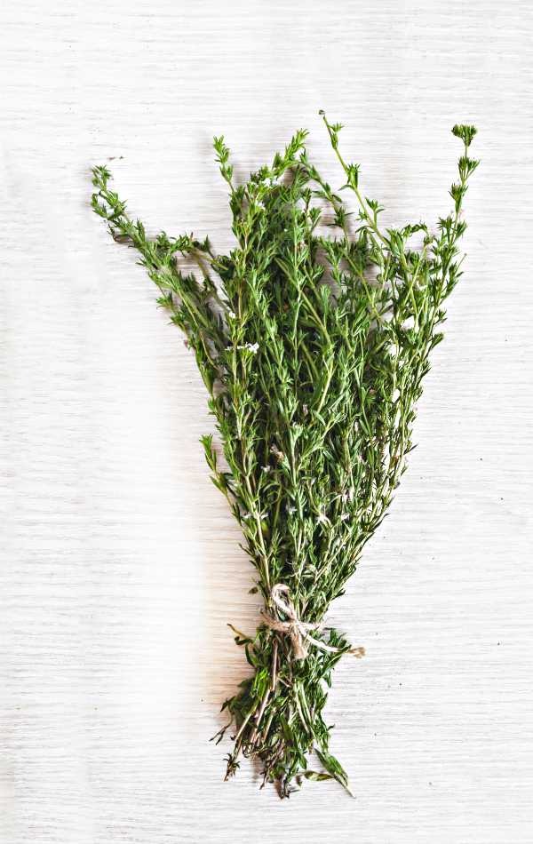 10. Kekik (Solunum Koruyucusu)